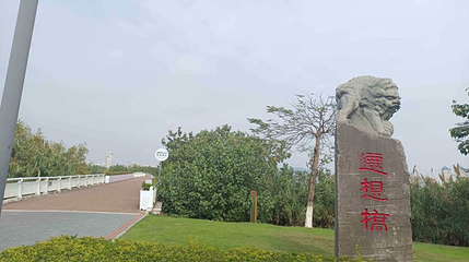 迁想桥第 1 张图片