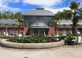 法兰克福棕榈园