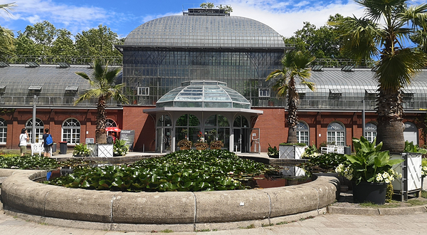 法兰克福棕榈园