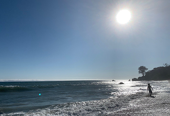 El Pescador State Beach第 5 张图片