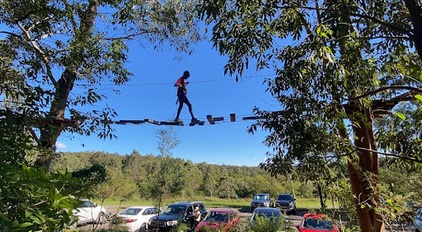 Treetops Adventure Newcastle