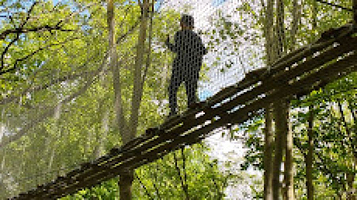 AccroCamp Poissy | Accrobranche Yvelines 78