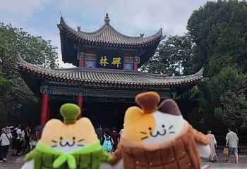 西安碑林博物馆第 114 张图片