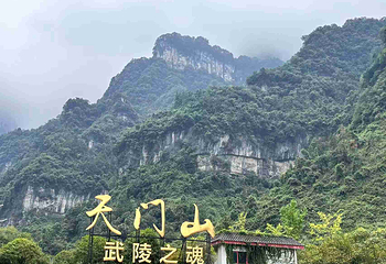 天门山国家森林公园第 212 张图片