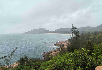 海龟湾第 19 张图片