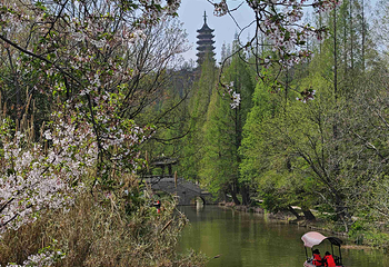 焦山第 41 张图片