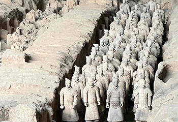 秦始皇帝陵博物院(兵马俑)第 576 张图片