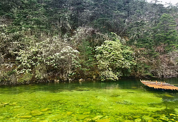 康定木格措景区第 97 张图片