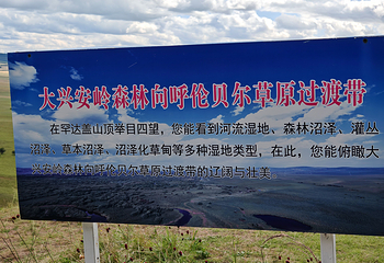 额尔古纳国家湿地公园第 99 张图片