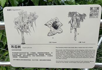 上海温室花园第 77 张图片