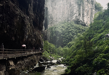 武隆天生三桥第 97 张图片