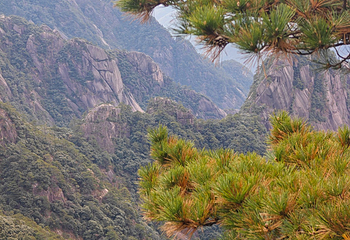 黄山风景区第 261 张图片