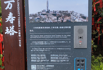 莽山旅游区国家森林公园第 88 张图片