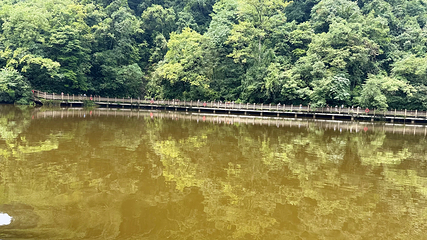 青城山第 173 张图片