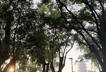 西安世博园第 162 张图片