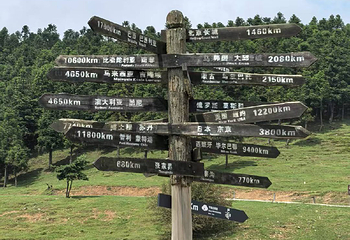 仙女山国家森林公园第 93 张图片