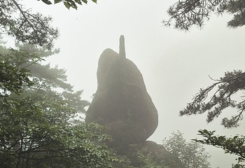 黄山风景区第 350 张图片
