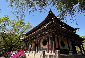 晋祠博物馆第 216 张图片