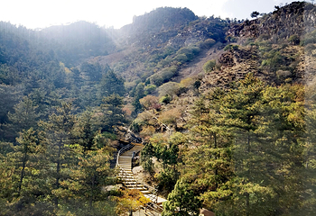 宁夏贺兰山国家森林公园第 64 张图片