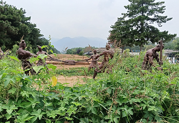 秦始皇帝陵博物院(兵马俑)第 335 张图片