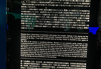 冲绳美丽海水族馆第 169 张图片