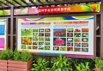 兴隆热带植物园第 13 张图片