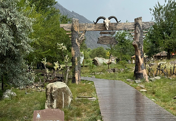 贺兰山岩画第 122 张图片