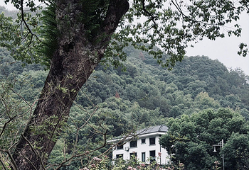 黄公望隐居地第 62 张图片