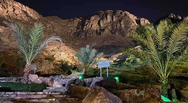 Jabal Ohud Garden
