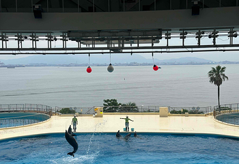海洋世界海之中道第 17 张图片