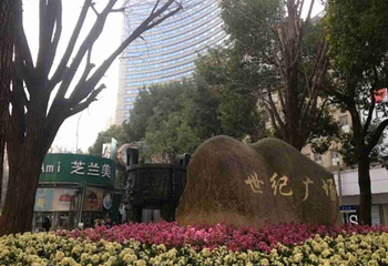 南京路步行街第 196 张图片