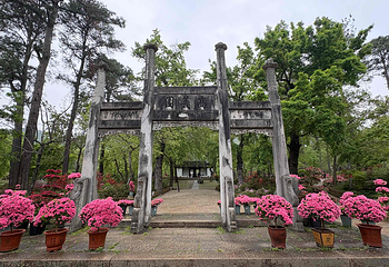 天平山第 31 张图片