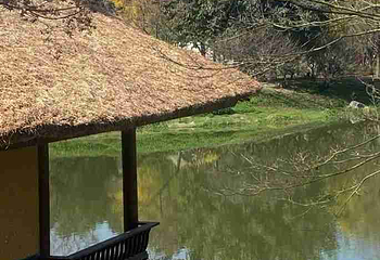 浣花溪公园第 89 张图片