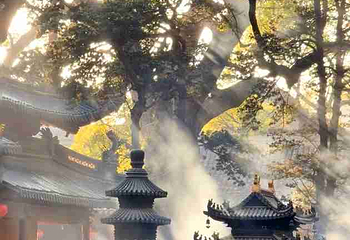 普陀山风景区第 358 张图片