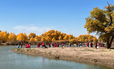 额济纳胡杨林旅游区第 59 张图片