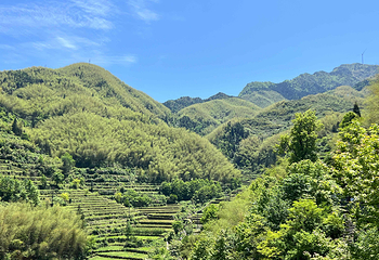 云和梯田景区第 57 张图片