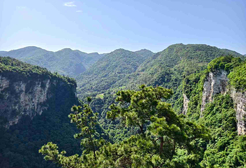 张家界大峡谷第 39 张图片
