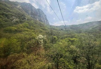 嵩山少林景区第 132 张图片