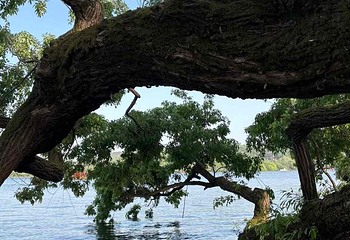 玄武湖景区第 70 张图片