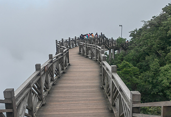 天门山国家森林公园第 352 张图片
