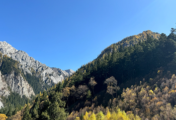 九寨沟风景区第 574 张图片