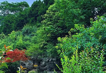 兴庆宫公园第 103 张图片