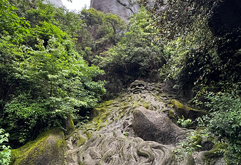 三清山风景区第 229 张图片
