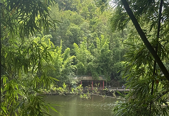 通天岩第 40 张图片