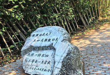剑桥大学第 40 张图片