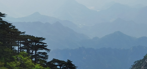 黄山风景区第 270 张图片