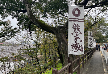 熊本城第 28 张图片