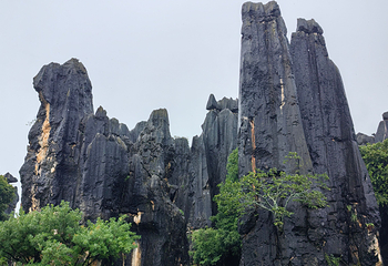 石林风景区第 180 张图片
