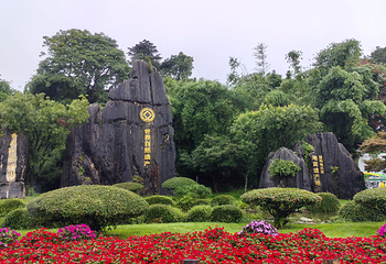 石林风景区第 85 张图片