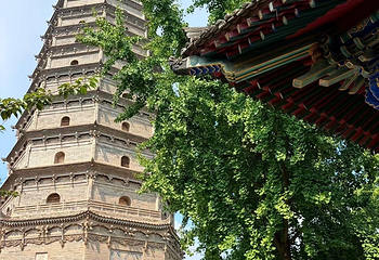 法门文化景区第 107 张图片